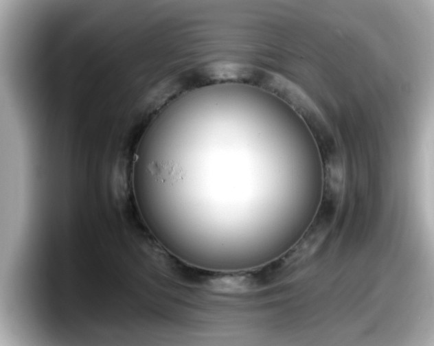 X0000098120422200804111119