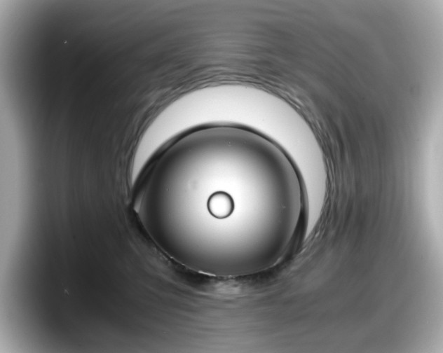 X0000098120423200804111119