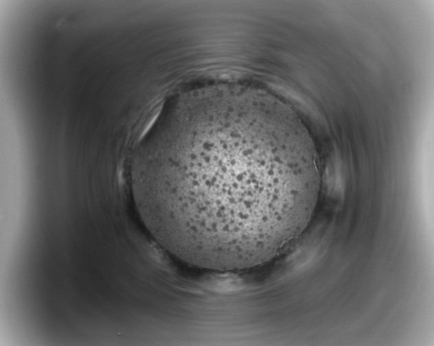 X0000098120424200804111119