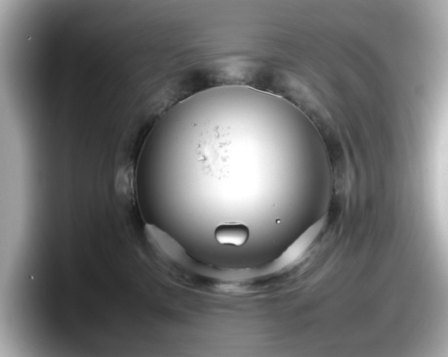 X0000098120425200804111119