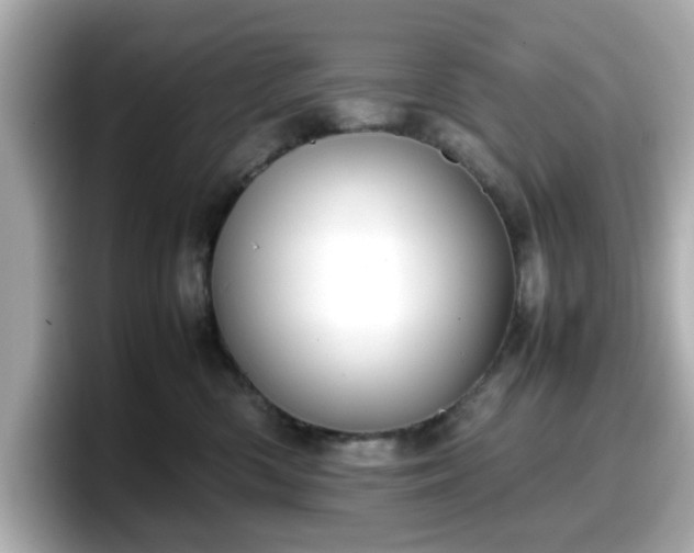 X0000098120426200804111119