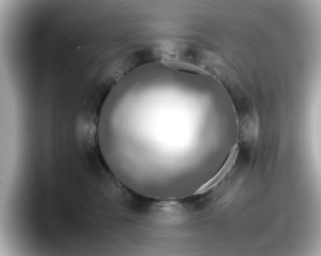 X0000098120427200804111119