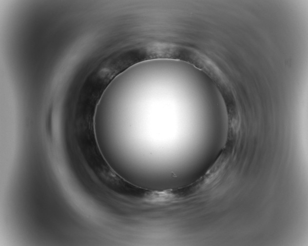 X0000098120429200804111119