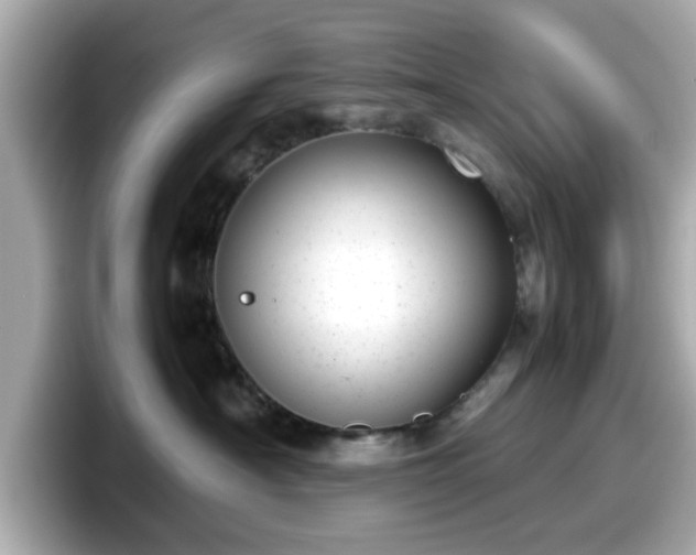 X0000098120430200804111119
