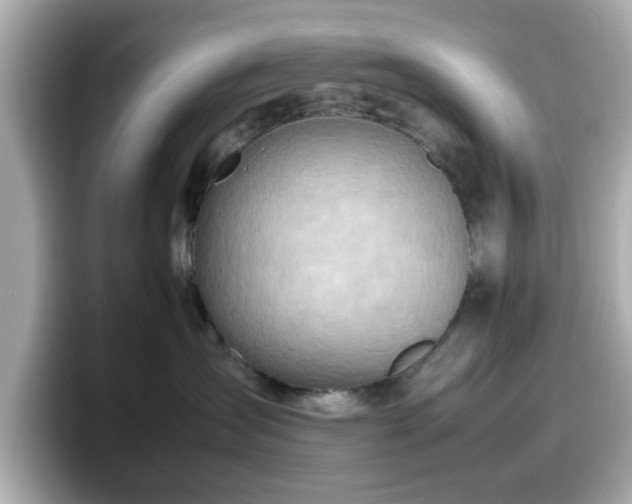 X0000098120431200804111119