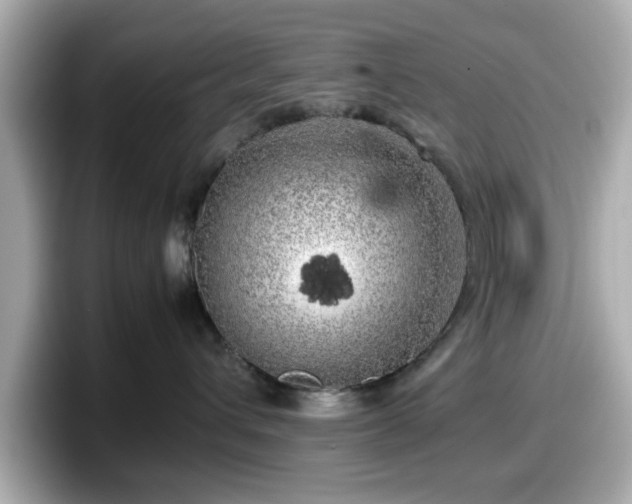 X0000098120432200804111119