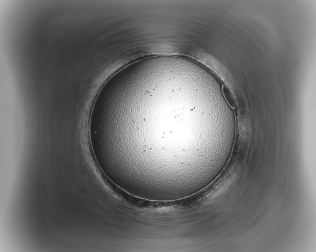 X0000098120433200804111118