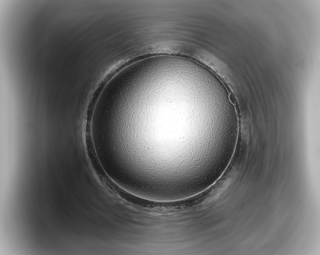 X0000098120434200804111118