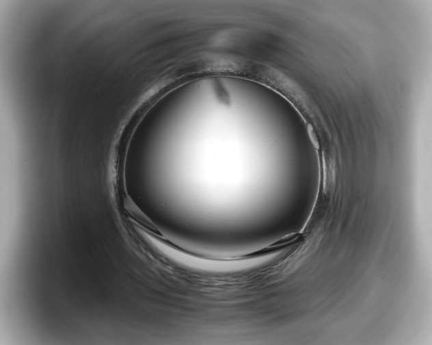X0000098120435200804111118