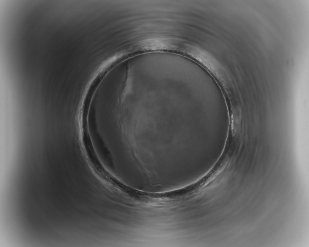 X0000098120438200804111118