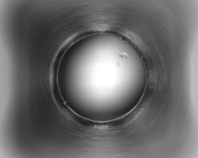 X0000098120440200804111118