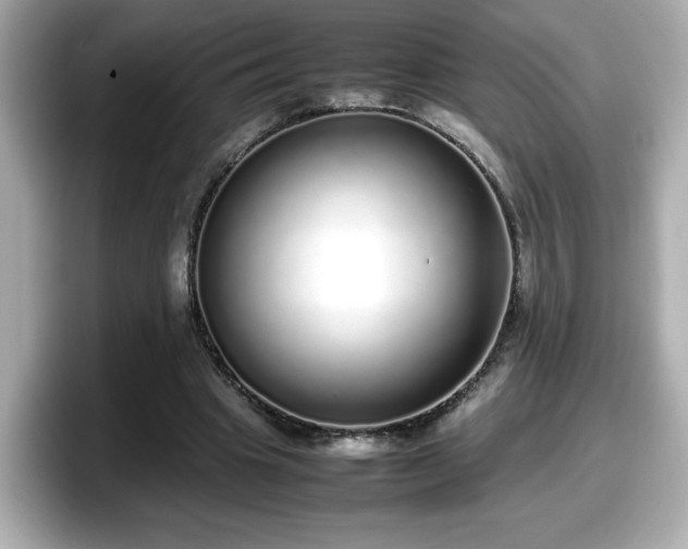 X0000098120441200804111118