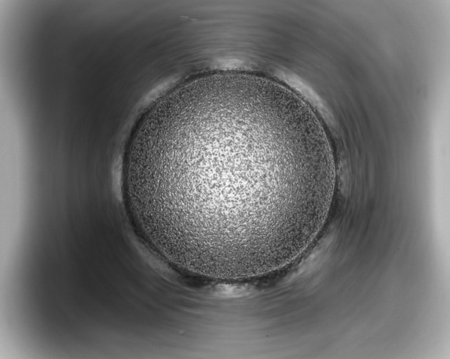 X0000098120442200804111118