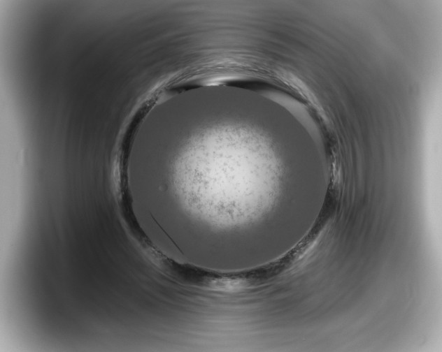 X0000098120444200804111118