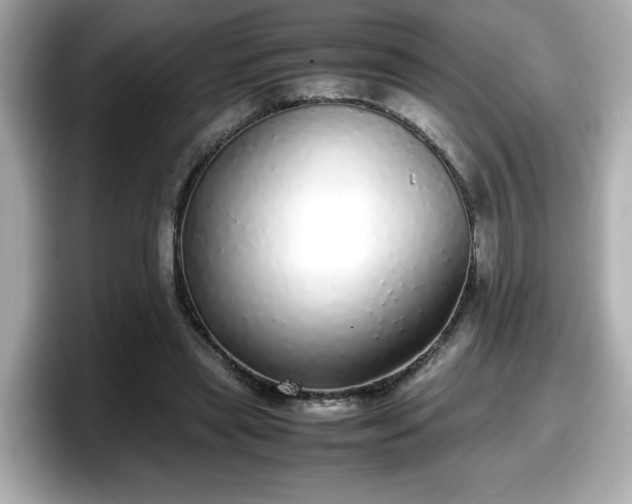 X0000098120445200804111118