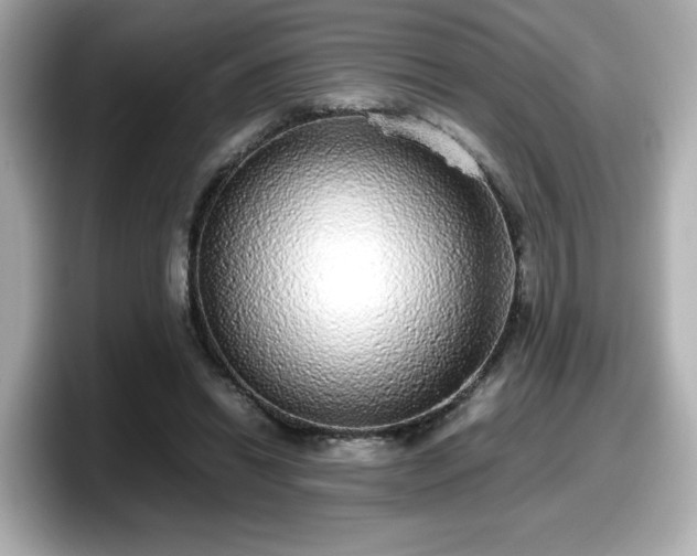 X0000098120446200804111118