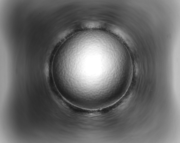 X0000098120447200804111118