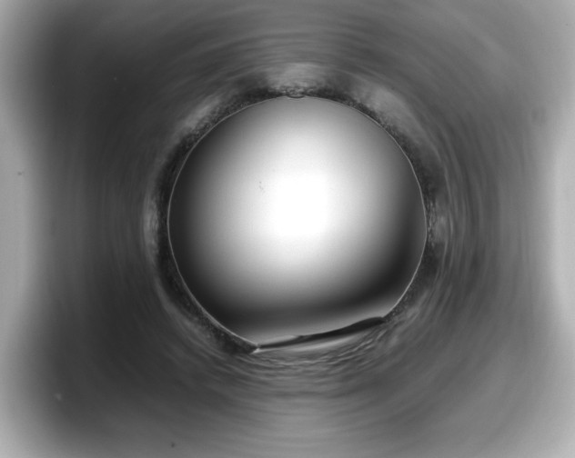 X0000098120448200804111118