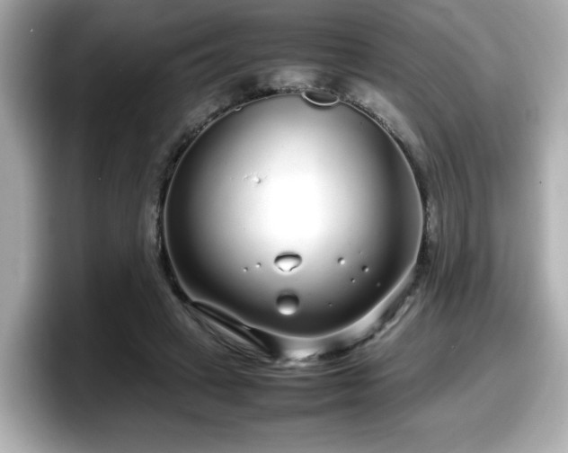 X0000098120449200804111118