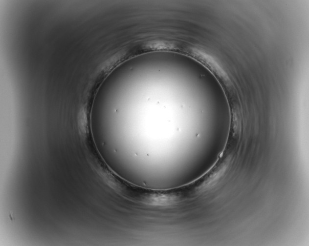 X0000098120453200804111118