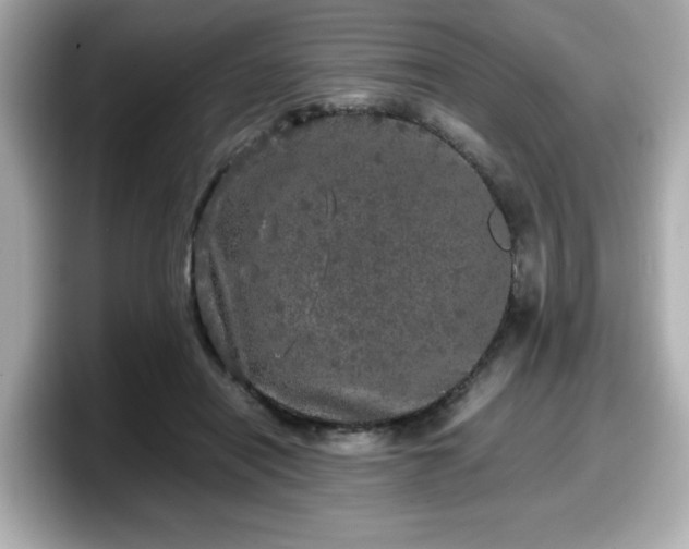 X0000098120454200804111118