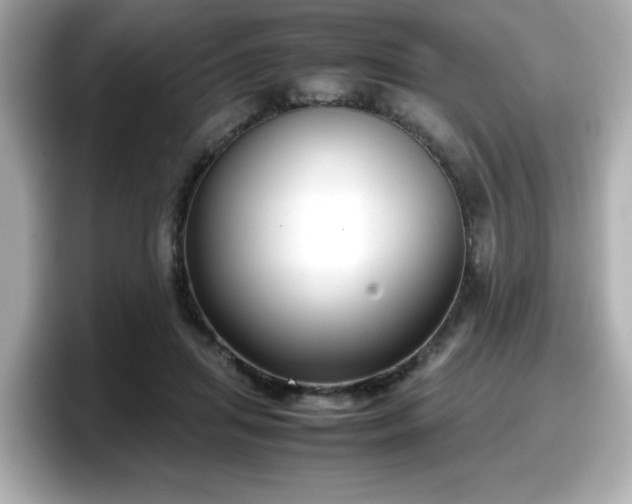 X0000098120455200804111118