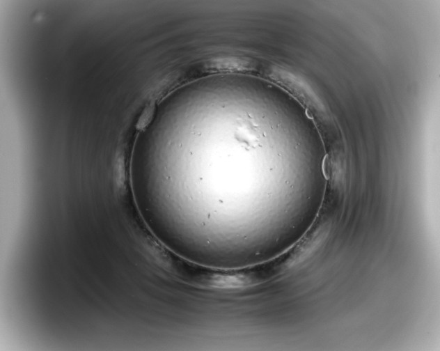 X0000098120457200804111118