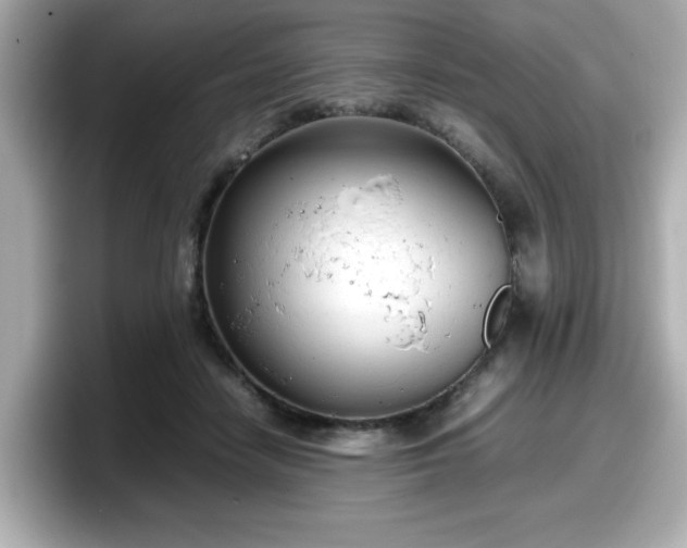 X0000098120458200804111118