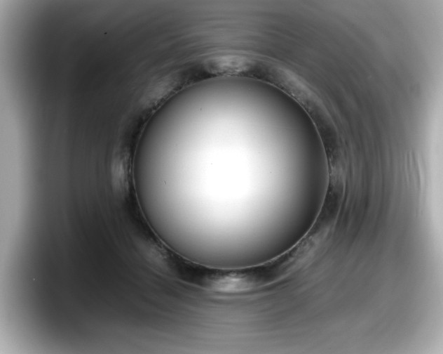 X0000098120460200804111118