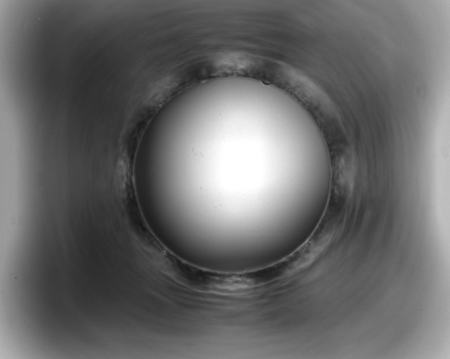X0000098120463200804111118