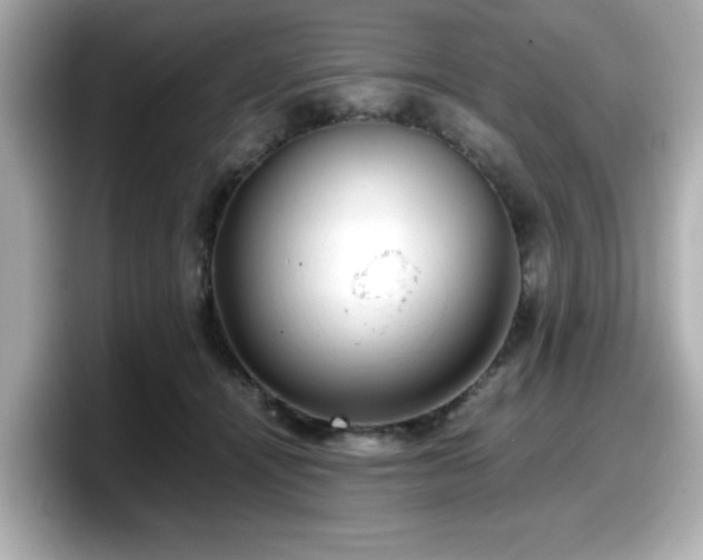 X0000098120464200804111118