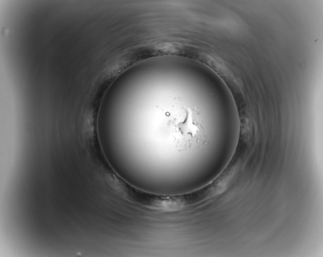X0000098120466200804111119