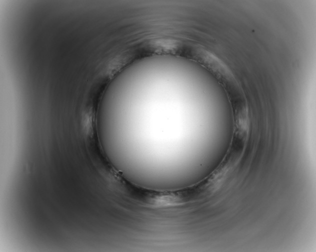 X0000098120468200804111119