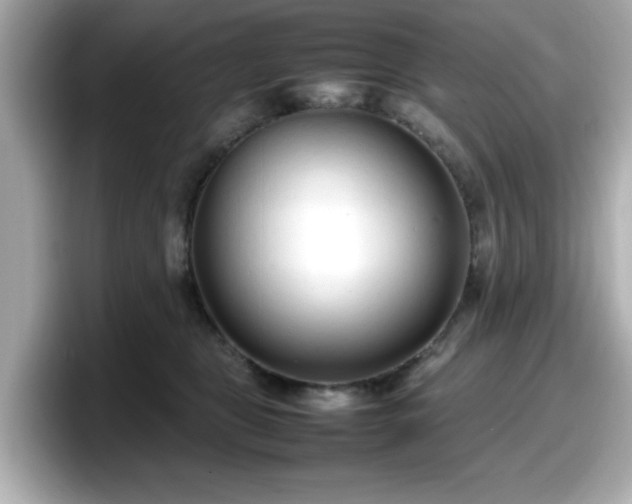 X0000098120469200804111119