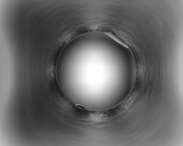 X0000098120470200804111119