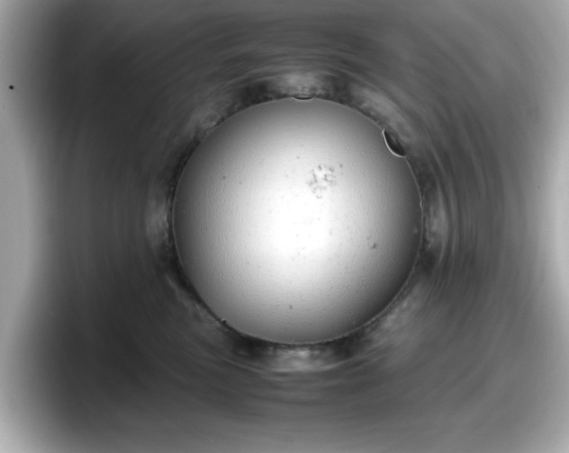 X0000098120473200804111119