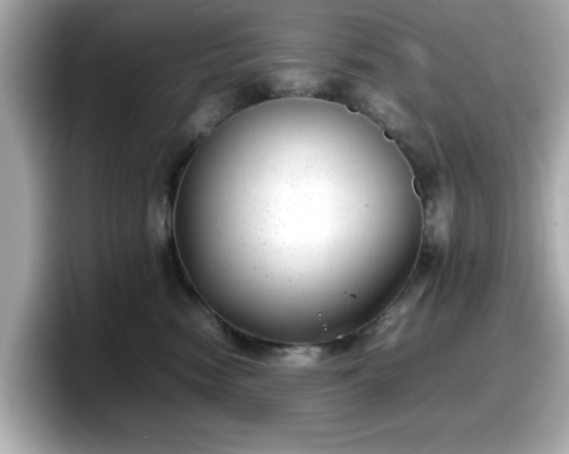 X0000098120474200804111119