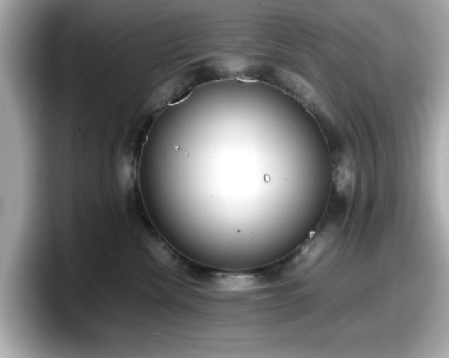X0000098120476200804111119