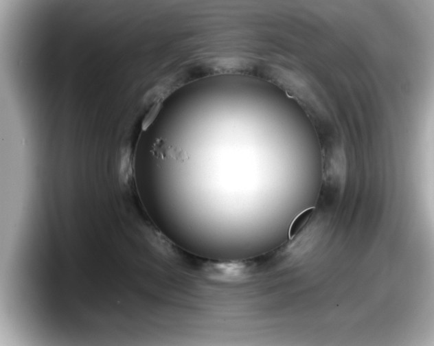 X0000098120478200804111119