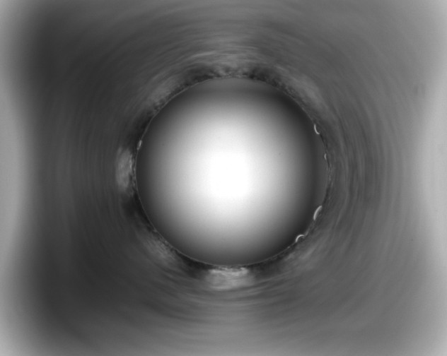 X0000098120480200804111119