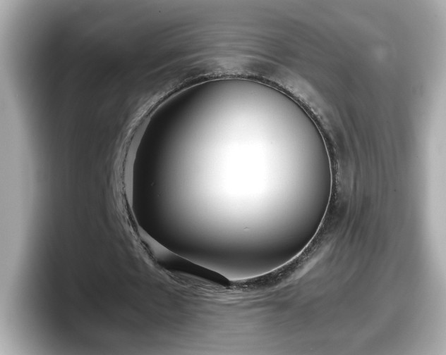 X0000098120481200804111118