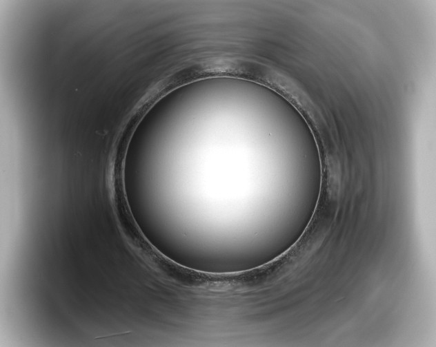 X0000098120482200804111118
