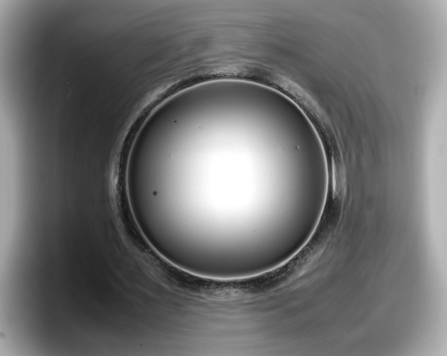 X0000098120483200804111118