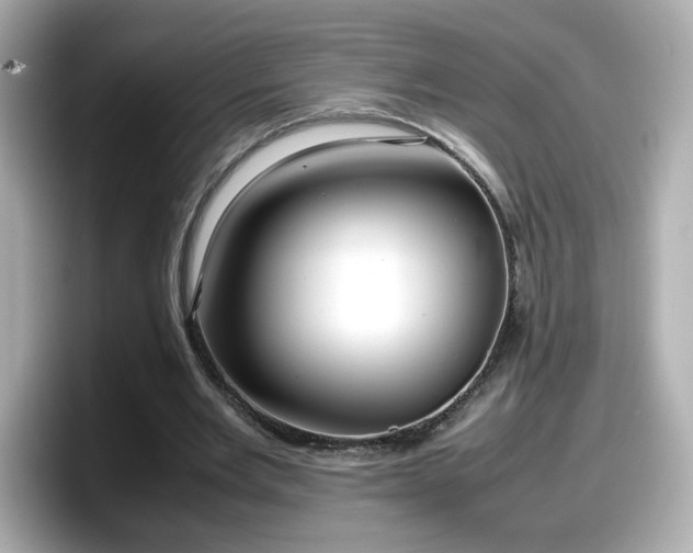 X0000098120485200804111118