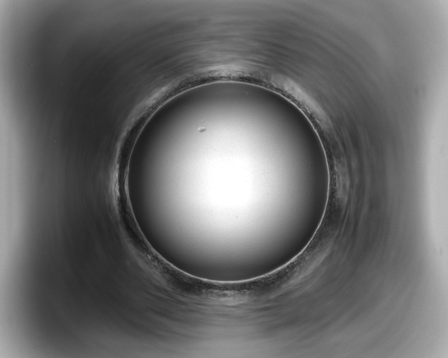 X0000098120486200804111118