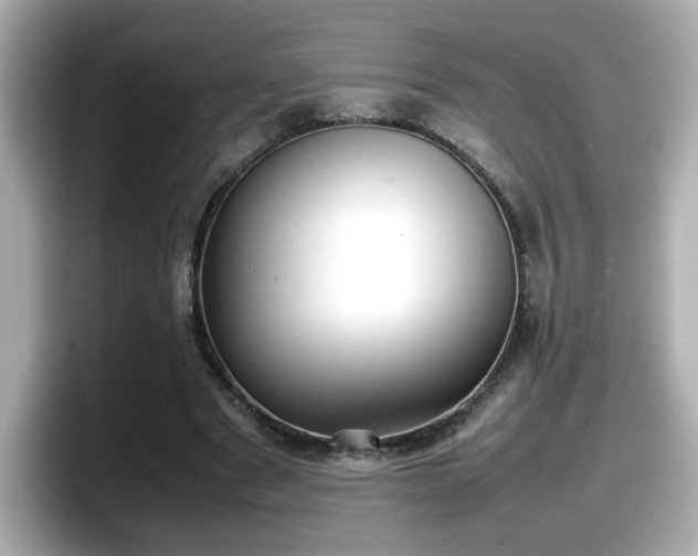 X0000098120489200804111118