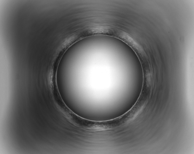 X0000098120490200804111118