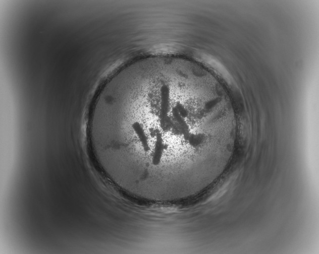 X0000098120491200804111118
