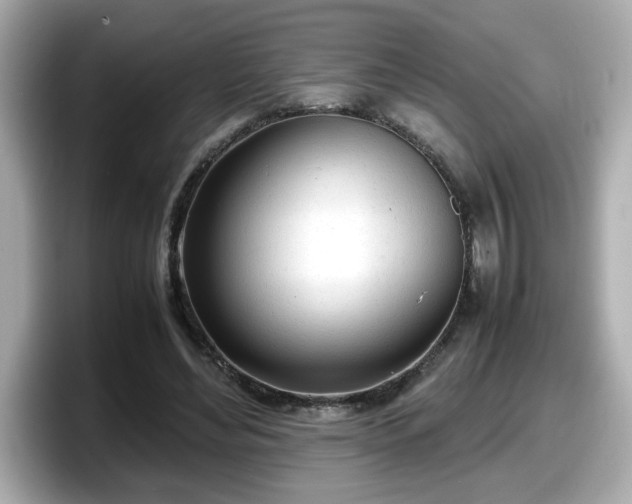 X0000098120492200804111118