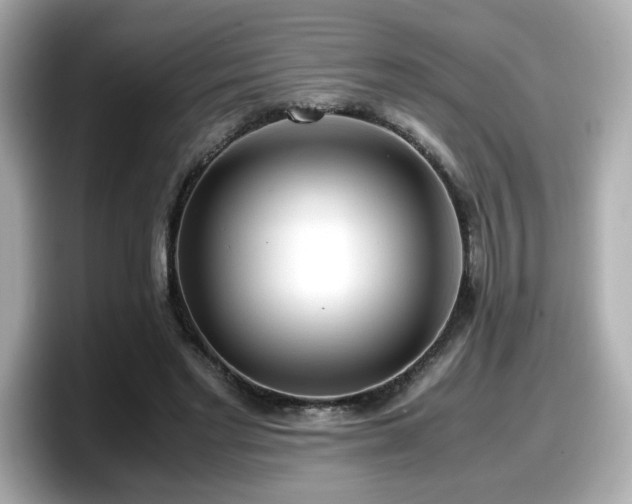 X0000098120493200804111118